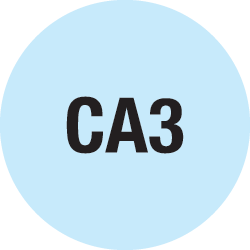 CA3